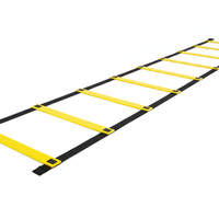 Agility Speed Ladder
